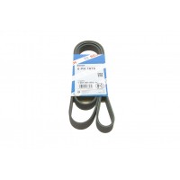 Ремінь генератора Toyota Corolla 1.4/1.6 02-06/Ford Escort 1.6/1.8 92-99/Audi A6/100 91-97 (6PK1675)