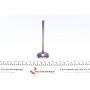 Клапан (впуск) Chevrolet Aveo 1.4i 03- (38x6x104) (азотований)
