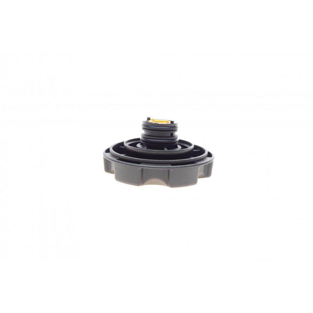 Кришка бачка розширювального BMW 1 E81/F20/2 F22/F87/3 E93/F30/4 F33/5 F10/6 F12 04-