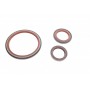 Комплект прокладок (повний) Citroen Berlingo/Jumpy/Peugeot Expert/Partner 1.9D 98-11