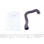 Патрубок радіатора (верхній) BMW 5 (E39)/7 (E38) 3.5-4.0 i 96-03