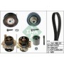Комплект ГРМ + помпа Skoda Octavia/VW Golf IV 1.9 TDI 96-05 (25x141z)