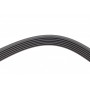 Ремінь генератора Peugeot Bipper/Expert/Partner 1.4/1.6HDI 07-/Ford Focus/Mondeo 2.0 18- (6PK1352)