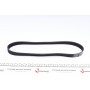 Ремінь генератора VW Golf III/IV/Bora/Octavia 1.9TDI/SDI (6PK906)