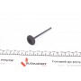 Клапан (впуск) Honda Civic IV/V/CRX II/Accord 2.0 16V/1.6 16V (29x5.5x115) (азотований)