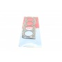Прокладка ГБЦ Fiat Scudo/Citroen Jumpy 2.0 D/HDi 10- (3 метки) (1.35mm)