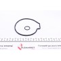 Помпа води Ford Transit VII 2.0DI/TDCi 00-06/Mondeo III 2.0/2.2TDCi 00-07 (B/B) (8 лоп.) (без корп.)