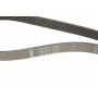 Ремень генератора Peugeot 206/Partner/Citroen Berlingo 1.1-1.6 02-/VW Fox/Polo 1.2 02-14 (6PK1453)