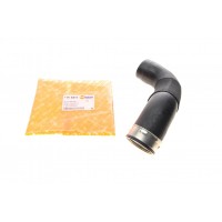 Патрубок інтеркулера (L) MB E-class (W211) 2.2CDI 02-08