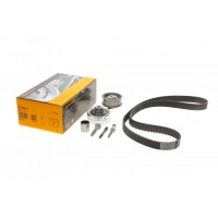 Комплект ГРМ Skoda Octavia/Fabia 1.9 TDI 96-10/VW Golf/Polo 1.9SDI/TDI 97-12 (25x141z)