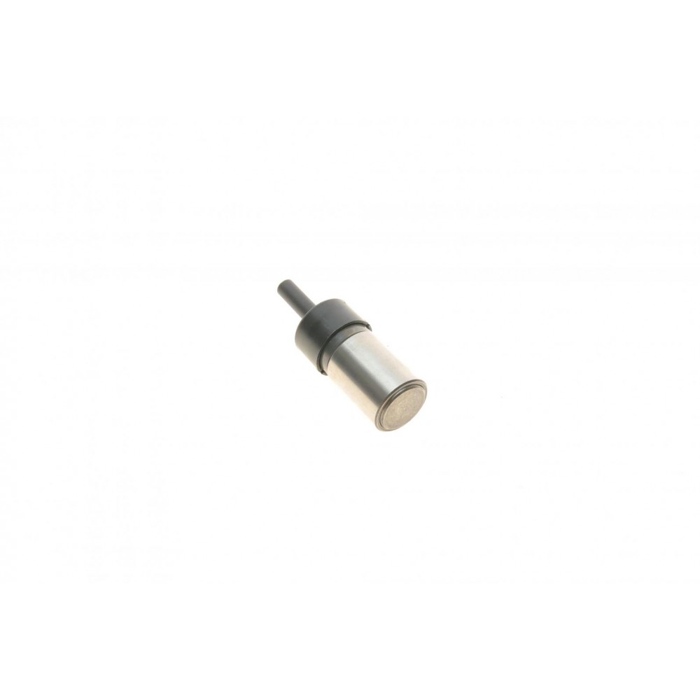 Натягувач ланцюга ГРМ Mini 01-08 W10/W11