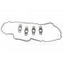 Прокладка кришки клапанів Mazda 3/6/CX-5 2.2D 12- (к-кт)