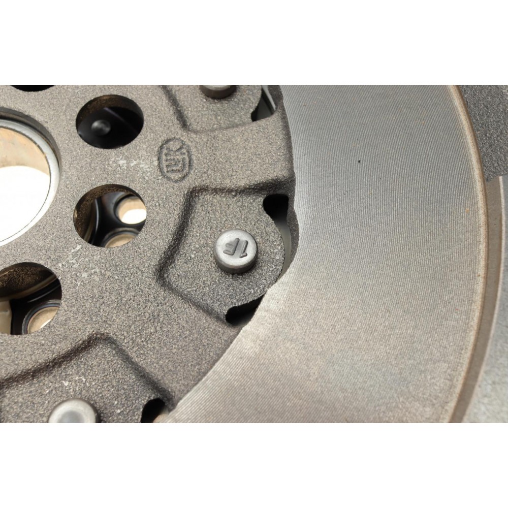 Демпфер зчеплення Renault Megane III/Scenic III 2.0dCi 09-, 118/120kw, M9R 610