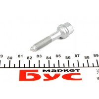 Болт кріплення форсунки Citreon Berlingo 2.0HDI (M8x125)
