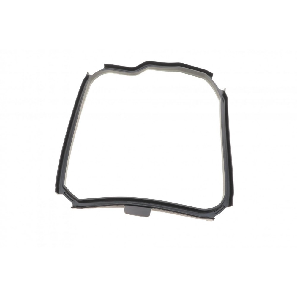 Фільтр АКПП Citroen C3/C4/C5/Peugeot 208/308 02- (к-кт)