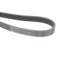 Ремінь генератора MB C-class (W202)/E-class (W210) 2.0-3.6 93-02/Kia Optima 2.0/2.4 10-