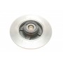 Диск гальмівний (задній) Citroen C3 09-/C4/Peugeot 307/207 04-/208 12- (249х9 (+ABS) (з підшипником)