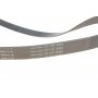 Комплект ременя генератора Citroen Jumpy/Fiat Scudo/Peugeot Expert 2.0HDi  04- (6PK1218)