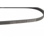 Ремінь генератора Smart Fortwo 0.6-0.7i 02-07/Mitsubishi Colt 1.5 05-12 (4PK790)