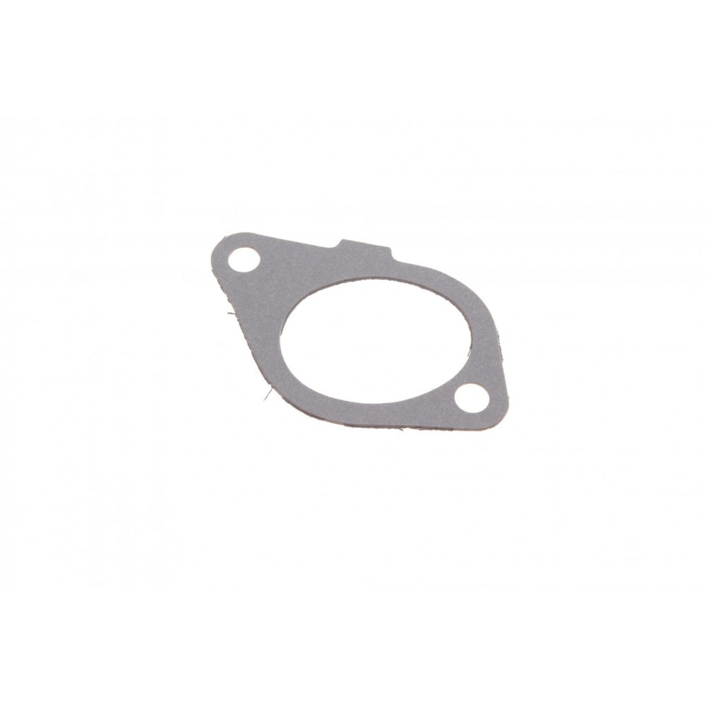 Прокладка колектора впускного Fiat Scudo/Peugeot Expert 1.9D 98-06 (к-кт)