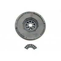 Демпфер зчеплення VW T5 2.5TDI (96kw/128kw) (AXD, AXE, BNZ, BPC)