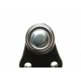 Опора кульова (передня/знизу) Ford C-Max 07-10/Focus 04-12/Volvo C30/C70/S40/V50 04-13 (SSP1836)