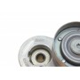 Натяжник ременя генератора Renault Scenic/Megane II/III 1.9dCi/2.0 16V 03-
