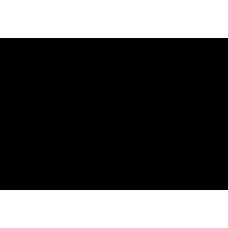 Фільтр паливний Audi A4/A6/Skoda SuperB/VW Passat 1.9D 98-08