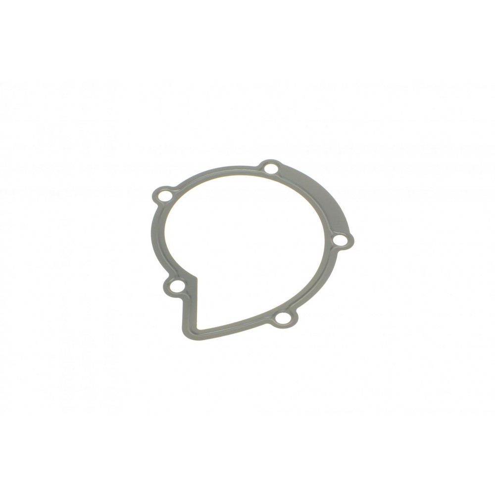 Прокладка помпи води Citroen Jumper/Jumpy/Peugeot Boxer/Expert 2.0/2.2 HDi 02-