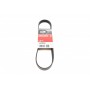 Ремінь генератора Citroen Berlingo/Peugeot Partner 1.6HDI/ Ford Fiesta/Focus 1.4-1.6 TDCi 01-