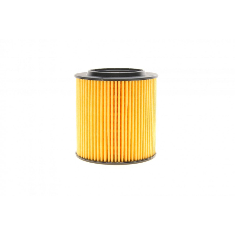 Фільтр масляний BMW (E90/F30)/5 (E60/F10) 05-16 (N52/N53/N20/N55)
