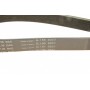 Ремінь генератора Audi A5/A6/Q5 17-  (6PK1138)