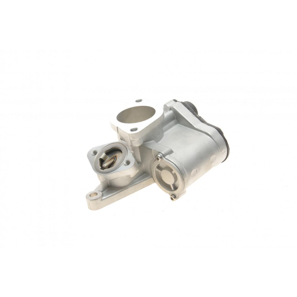 Клапан EGR Renault Megane II/Laguna II/Scenic II 1.9dCi 03-