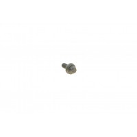 Болт (M7x17.3mm) BMW 3 (E90-E93/F31)/5 (E60/F10/F11)/X3 (E83/E25)/X5 (F15/25) 04- N47