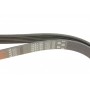 Ремінь генератора Peugeot Expert 1.9D/2.0HDI 98-/Renault Clio/Kangoo/Megane 1.4/1.6 98-03