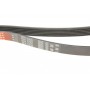 Ремінь генератора MB E-class (W124/W211)/M-class (W164) 03-12 M104