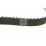 Комплект ГРМ Citroen Berlingo/Jumpy/Peugeot Partner 1.6HDI/Fiat Scudo 2.0D 08- (25.4x141z)
