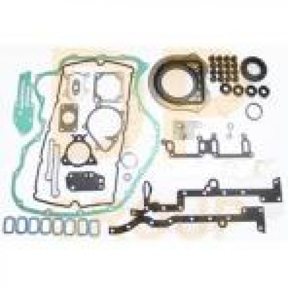 Комплект прокладок (повний) Ford Transit 2.0 TDCI 00- (без прокладки ГБЦ)