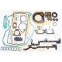 Комплект прокладок (повний) Ford Transit 2.0 TDCI 00- (без прокладки ГБЦ)