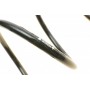 Пружина (передня) MB A-class (W169) 1.5/1.7/2.0 (M266) АКПП 04-12