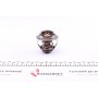 Термостат VW T4/T5/Audi A4/A5 2.0TSI/TFSI 06-