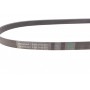 Ремінь генератора Citroen Jumper 2.0-2.2HDi 02-06/C4/C5/C8 2.0 16V 01-/VW T5/T6 2.0TSI 12-19