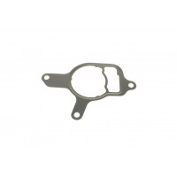 Прокладка насоса вакуумного VW Golf VI/Jetta III/IV 2.5 06-