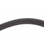 Ремінь генератора Citroen Jumper/Fiat Ducato/Peugeot Boxer 2.0/2.2HDi/JTD 02-