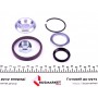Підшипник маточини (задньої) Renault Megane/Clio 01- (25x52x37)(+ABS)(к-кт)