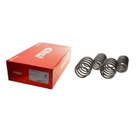 Комплект пружин (Pro-Kit) VW Passat (362/3C2) 05-14 (4 шт.)