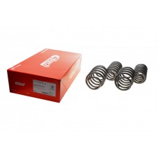 Комплект пружин (Pro-Kit) VW Passat (362/3C2) 05-14 (4 шт.)