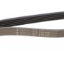 Ремінь генератора Fiat Scudo 2.0 JTD 99-06 (5PK970)