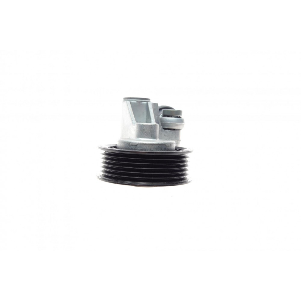 Натяжник ременя генератора VW LT/T4 2.5TDI/SDI 96-06