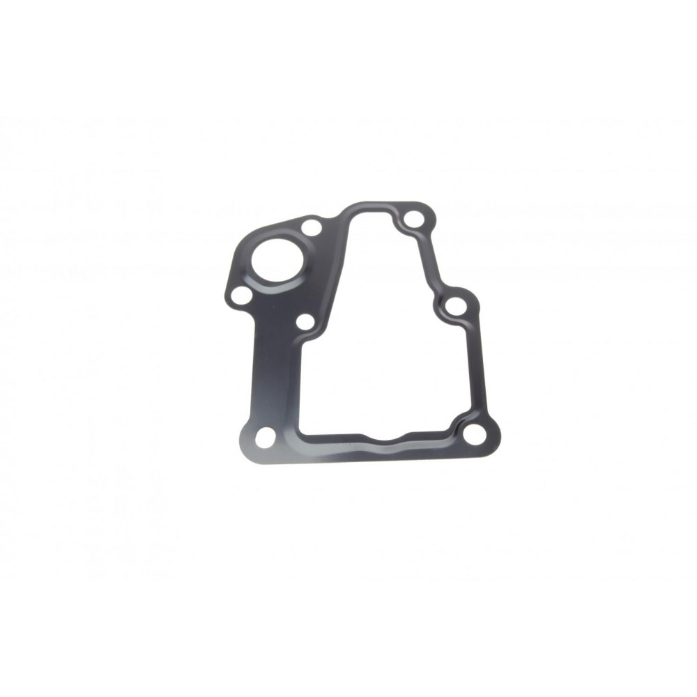Прокладка термостату Citroen C4/C5/Peugeot 307/308/407 04-